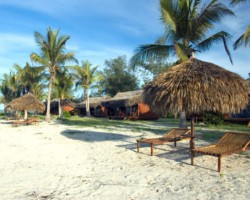 Beach at Matemo Island Resort Beach at Matemo Island Resort